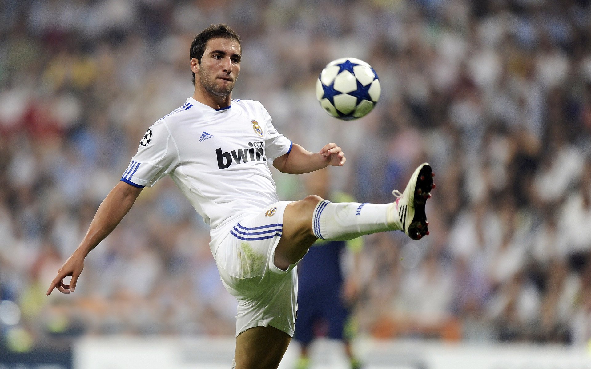 -摩洛哥马术协会设立“Sinjska Alka”奖学金,支持传统马术研究。